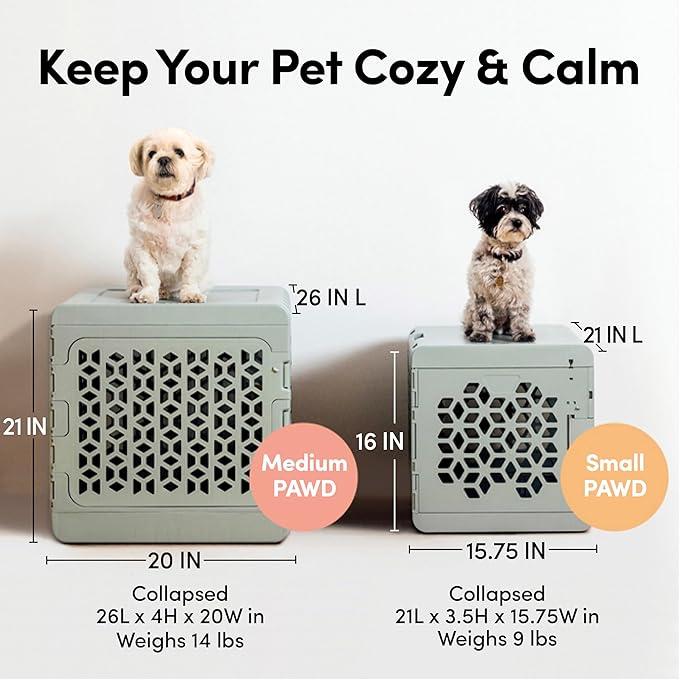 KindTail PAWD Collapsible Puppy and Dog Crate + Washable Bed - Stylish Pet Kennel with Comfortable Pad - Safe Indoor Set - Lightweight, Compact & Portable for Travel - Medium Blue