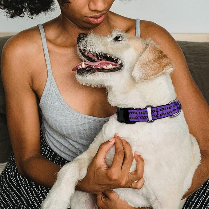 Hikiko Martingale Collar for Dogs Reflective Nylon Dog Collar with Quick Release Buckle Adjustable Training No Slip Dog Collars (Medium, Purple)