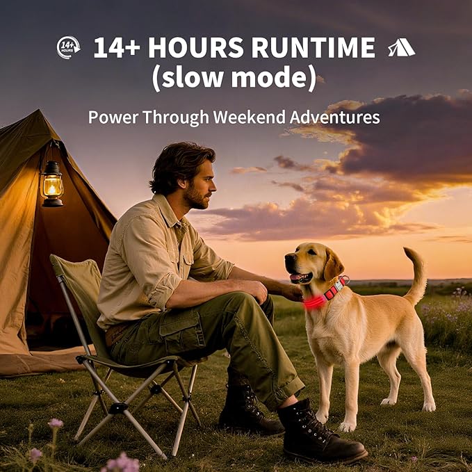 LED Dog Collar with Metal Buckle - USB Rechargeable Glow Collar for Dogs, Waterproof Light Up Dog Collar w/Reflective Strips - Adjustable Night Safety Collars by PetIsay(Red,Medium)