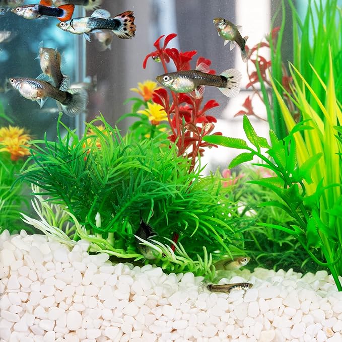 GASPRO 2.5 Pound Pebbles for Indoor Plants, 3/8" Decorative White Rocks for Vases, Planters, Succulents, Highly Polished Aquarium Gravel, Smooth Surface and Fade Resistant