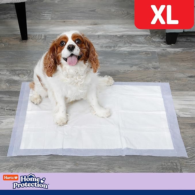 Hartz Home Protection Lavender Scented USA Made Dog Pads, XL 60 Count, Super Absorbent & Won't Leak, Odor Eliminating
