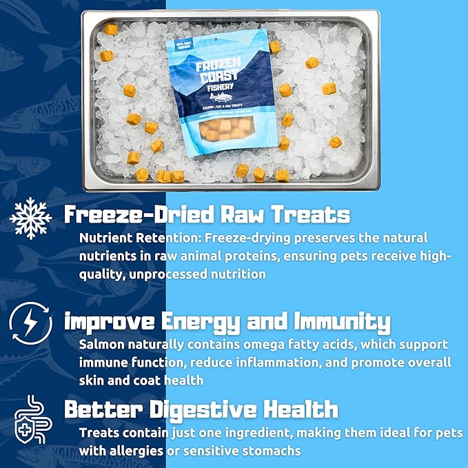 Frozen Coast Freeze-Dried Wild-Caught Salmon Cat & Dog Treats-High-Protein, Omega-3, Grain-Free (2.5 oz-Bag)