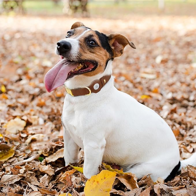 Leather Airtag Dog Collar - Soft Tracking Dog Collar with Apple AirTag Holder and Metal Buckle - Safety GPS Pet Collars for Small Medium Large Dogs Puppy Pink Red (Brown, L, 17"-21" Neck Fit)