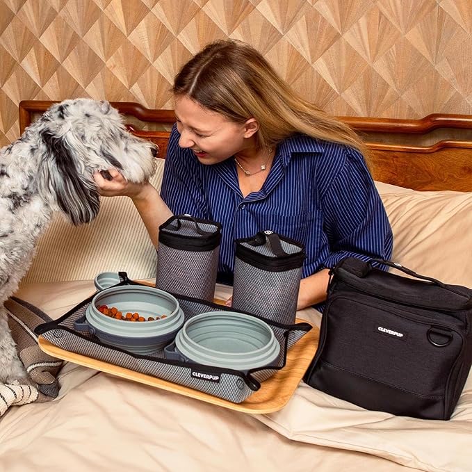 Large 7-Piece Bistro Box Dog Food Travel Kit, 12-Cup Kibble Storage, 2 Silicone Bowls, Mat & Scoop - Premium Portable Pet Food Kit for Weekends, Overnights, Daycare & Camping, Graphite