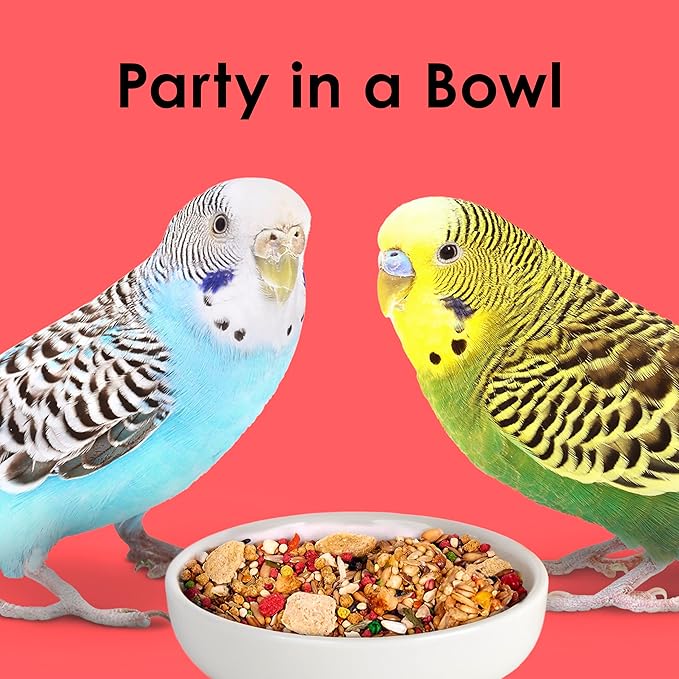 Kaytee Fiesta Parakeet Food, Nutritious and Fun Blend, Supports Skin, Feather, Digestion, Brain and Heart Health, 4.5 pounds