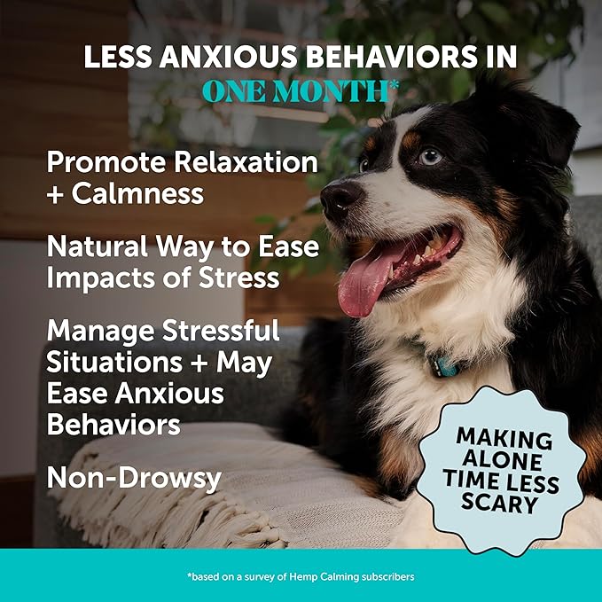 Natural Hemp Calming Chews for Dogs - Dog Anxiety Relief - Calming Aid Supplement with Valerian Root, Chamomile, + Magnesium - Stress, Separation & Thunder Support - (Chicken, 90 Count)