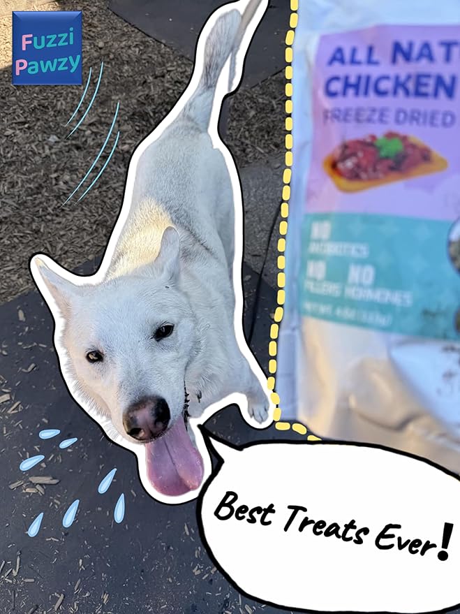 Freeze Dried Beef Liver Healthy Training Treats Toppers for Pets, Single Fresh Raw Ingredient, Organic, Pure Balance, Natural, Grain Gluten Filler Free, Snacks, Dogs Cats (14oz)