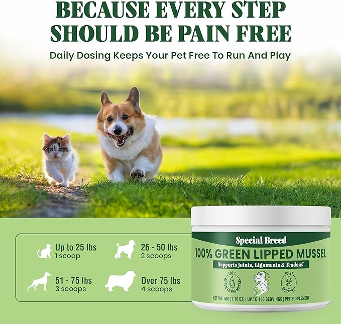 Green Lipped Mussel Powder for Dogs & Cats - 100% New Zealand Green Lipped Mussels - Natural Hip & Joint Supplement for Joints, Tendons, Ligaments, Muscles - 50 Grams - Up to 166 Servings