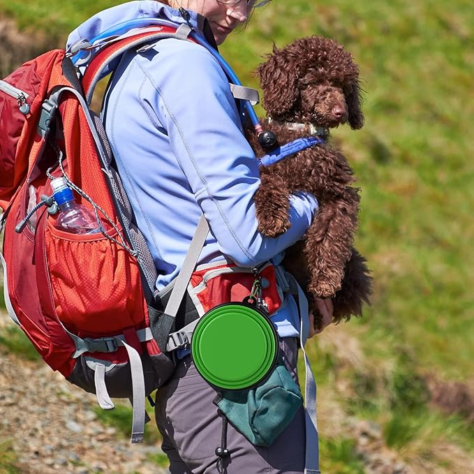 2 Pack Collapsible Dog Bowl Travel Portable Pet Bowls [20oz,600ml],Expandable Foldable Food Water Feeding Dishes for Traveling Hiking Walking,with Carabiners [Green,Blue]