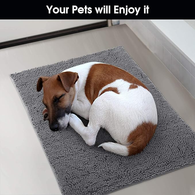 HOMEIDEAS Doormat Indoor Entrance, 32"x20", Highly Absorbent Chenille Muddy Dog Washable Non Slip Front Welcome Door Floor Mat for Entryway, Grey