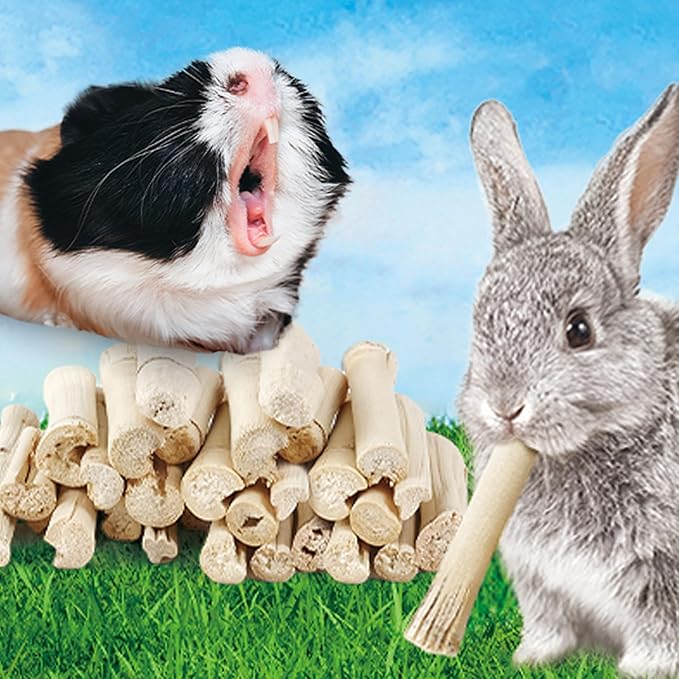 HIIMALEX Bunny Snacks 300g/10oz. Sweet Bamboo Molar Chew Treat Sticks for Rabbits Guinea Pigs Hamsters Small Animal