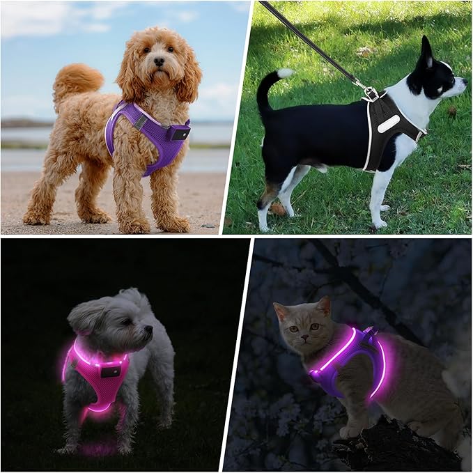 PceoTllar Light Up Dog Harness, LED No Pull Reflective Dog Harness, Flashing Lighted for Night Walking - Small/Medium, (Purple,L)