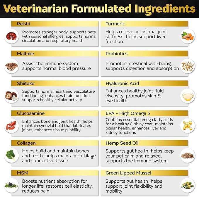 Soft Chews Hip and Joint Supplement for Dogs - Dog Joint Pain Relief Treats - Glucosamine, Chondroitin, Turmeric- Mobility Supplement (Hip & Joint + Skin & Coat, Bacon - 30 Soft Chews)