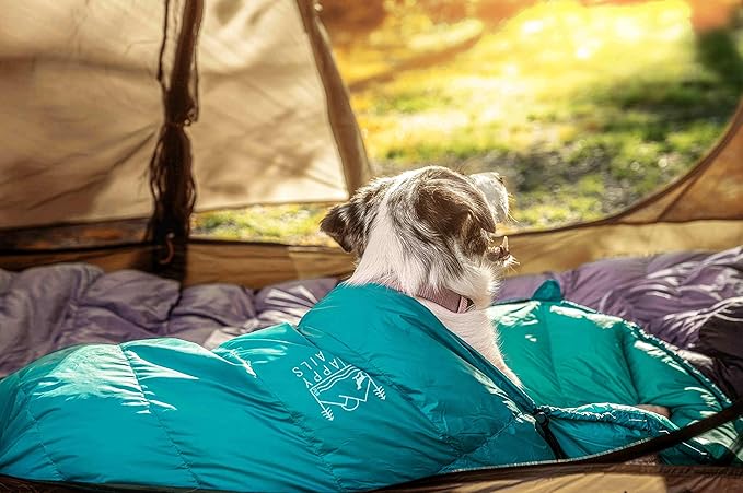 Ultralight Dog Sleeping Bag Backpacking—Outdoor Dog Bed for Hiking—Backpacking Gear for Dogs—Dog Hiking Gear—Dog Camping Gear—Packable Sleeping Bag for Dogs—Dog Travel Bed (Glacial Blue | Large)