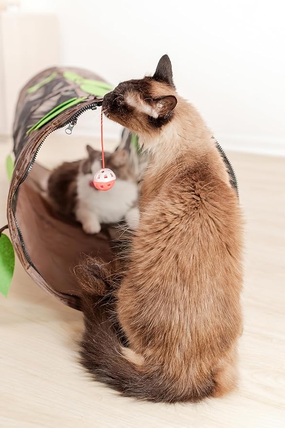 Chonky Cat Playground Set – Tunnel + Tent Combo for Maximum Zoomies