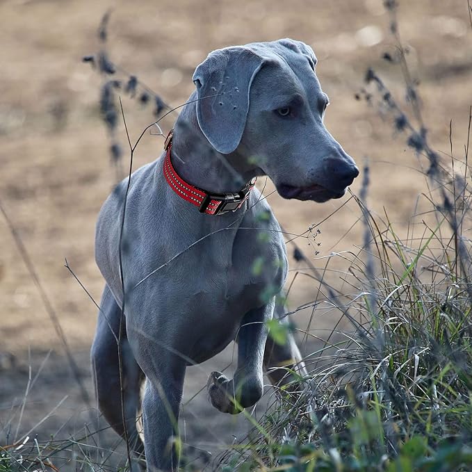 Hikiko Martingale Dog Collars Reflective Nylon Dog Collar with Quick Release Buckle Adjustable Training No Slip Dog Collar (Medium, Red)