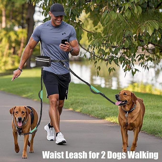 Hands Free Dual Dog Leash with Pouch for Medium & Large Dogs - Crossbody & Waist Leash for Dog Walking - Bungee with Padded Handles, Reflective Stitches, No Pull, Tangle Free