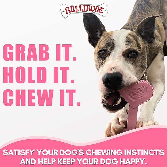 Bullibone Nylon Dog Chew Toy Nylon Bone - Improves Dental Hygiene, Easy to Grip Bottom, and Permeated with Flavor (Peppermint, Small - Single)