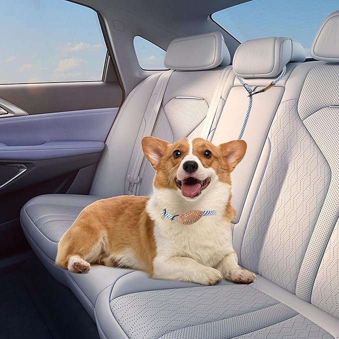 Mile High Life Hands Free Dog Leash, Crossbody Waist Leash with Genuine Leather Connection, Multifunctional Adjustable Slip Lead for Dog Walking Running (Blue Gray, 7FT)