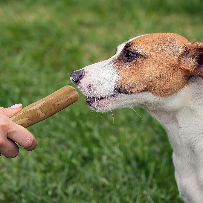 Wildfang® Coffee Wood Dog Chew, Small - Tough Chew Toys for Aggressive Chewers, Dog Teething Toys for Puppies, Training for Chewing Muscles, Coffee Tree Sticks for Small Dogs (22-33 lbs)