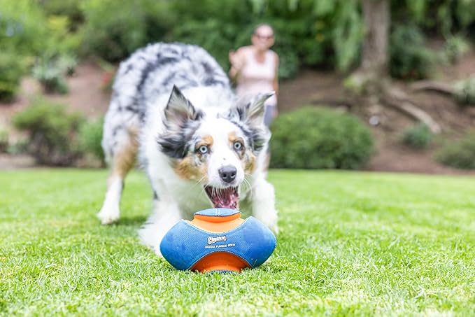 Chuckit! Giggle Fumble Fetch Ball Dog Toy (7.9 Inch Diameter) Giggle Sounds Dog Toy (No Batteries Required), for All Breeds