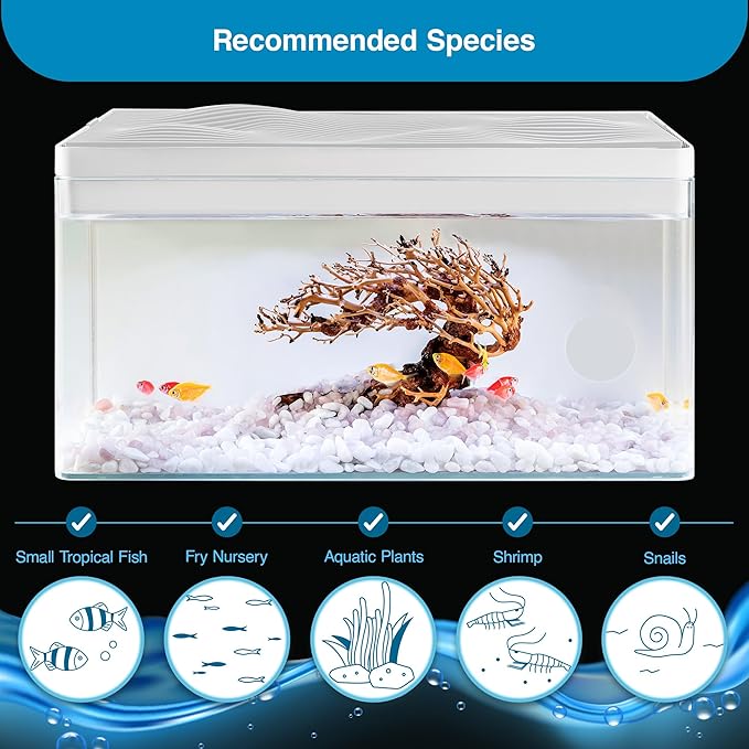Harmony All-in-One Aquatic Tank by Clairnara - Harmony Premium - iF Design Award Winning 10 Gallon Aquarium with LED Light, Patented Filtration System, and Ultra-Quiet Water Pump