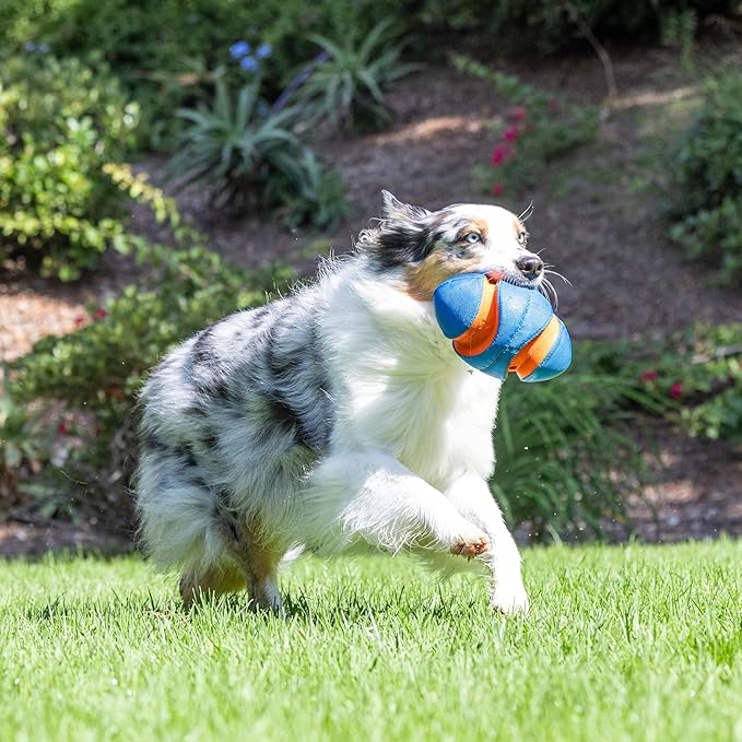 Chuckit! Giggle Fumble Fetch Ball Dog Toy (7.9 Inch Diameter) Giggle Sounds Dog Toy (No Batteries Required), for All Breeds