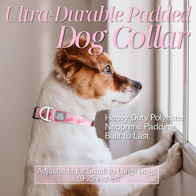 Girl Dog Collar, Durable Pink Cute Cherry Print Adjustable Collar with Aluminum D-Ring, Reflective Logo & Soft Padding Fits for Large Breed Dogs, Neck Size 16’’-25’’ (Cherry, L)