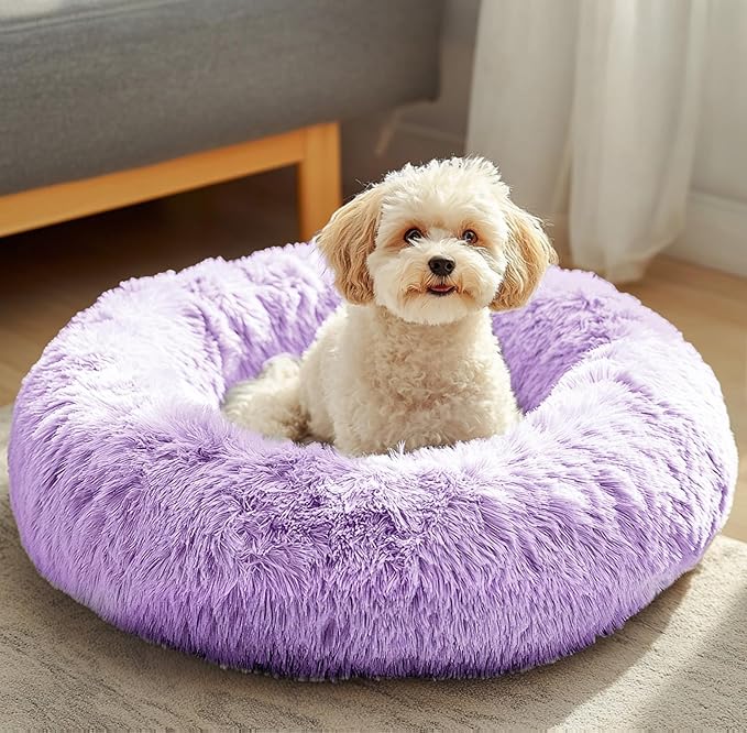 JOLLYVOGUE Dog & Cat Bed, Calming Anti-Anxiety Pet Bed for Small Dogs, Fluffy Donut Cushion for Small and Medium Pets (20")