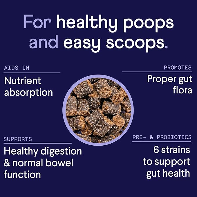 Finn Digestive Probiotics for Dogs - Complete Digestive System Support with Pumpkin, Prebiotics, & Live Probiotics - Vet Recommended & Made in The USA - 90 Soft Chews (Peanut Butter)