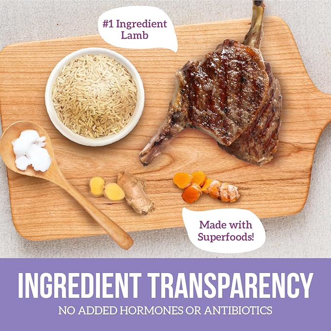 Health Extension Lamb & Brown Rice Dry Dog Food (4 lb / 1.81 kg) - Nutritious Free-Range Lamb Formula with Probiotics, Antioxidants & Omega 3 for Dogs with Sensitive Digestion (Pack of 2)