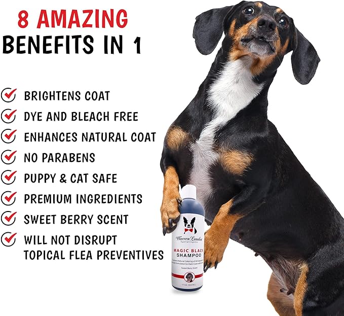 Warren London Magic Black Dog Shampoo | Brightens Any Dog Coat | Formulated for Darker Dog Coats | Puppy and Cat Safe Grooming Supplies | Berry Scent | Made in USA | 17oz