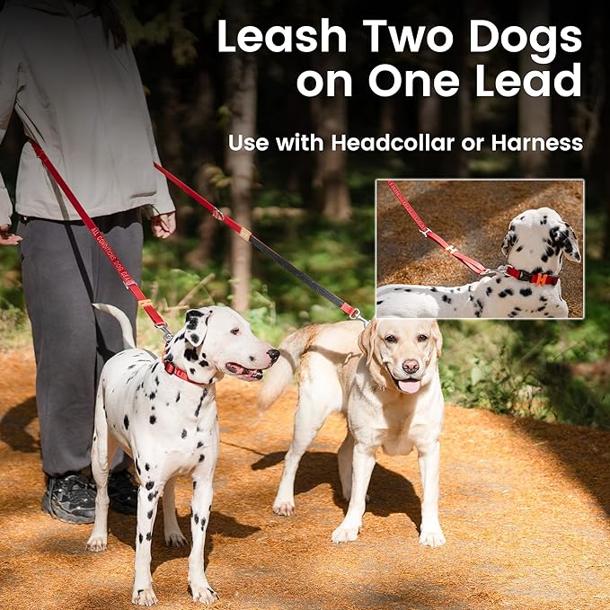 HOWGO Hands Free Dog Leash with Padded Handle,Multifunctional Crossbody Waist Leash for Walking Running Jogging Training,7.5 FT Nylon Adjustable Length for All Breeds(MintGreen, Ultralight)