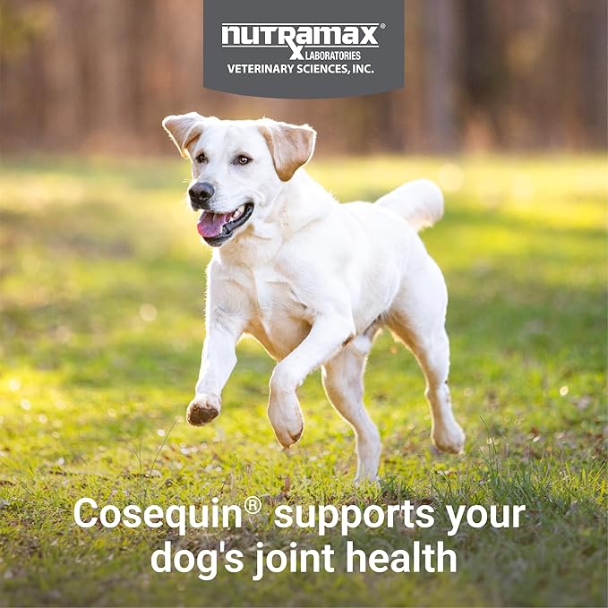 Nutramax Cosequin for Dogs Joint Health Supplement, Contains Glucosamine for Dogs, MSM, Supports Healthy Joints, Chewable Tablets, 75 Count