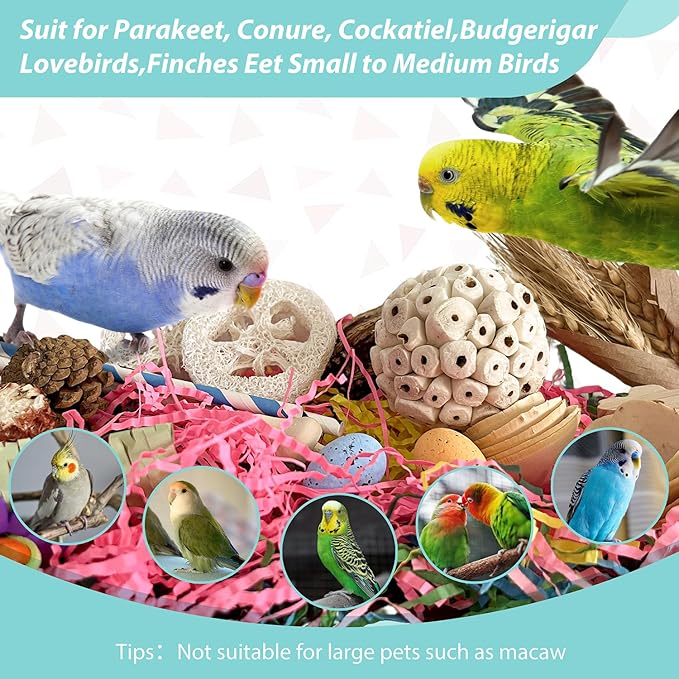 Large Bird Foraging Toy - Natural Shreddable Chew Toys Box for Conures, Cockatiels, Lovebirds & Budgies | Enrichment Activity with Colorful Textures (for Small-Medium Birds)