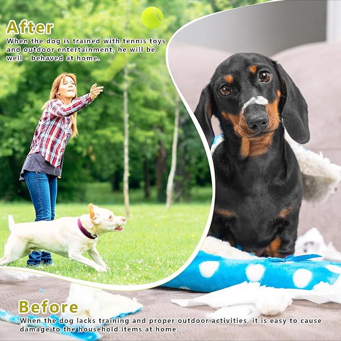 Magicorange Small Tennis Balls, 20 Pack 2 inch Tennis Balls for Dogs, Colorful Easy Catching Pet Dog Playing Ball with Mesh Bag for Easy Transport (Yellow, 2 inch)