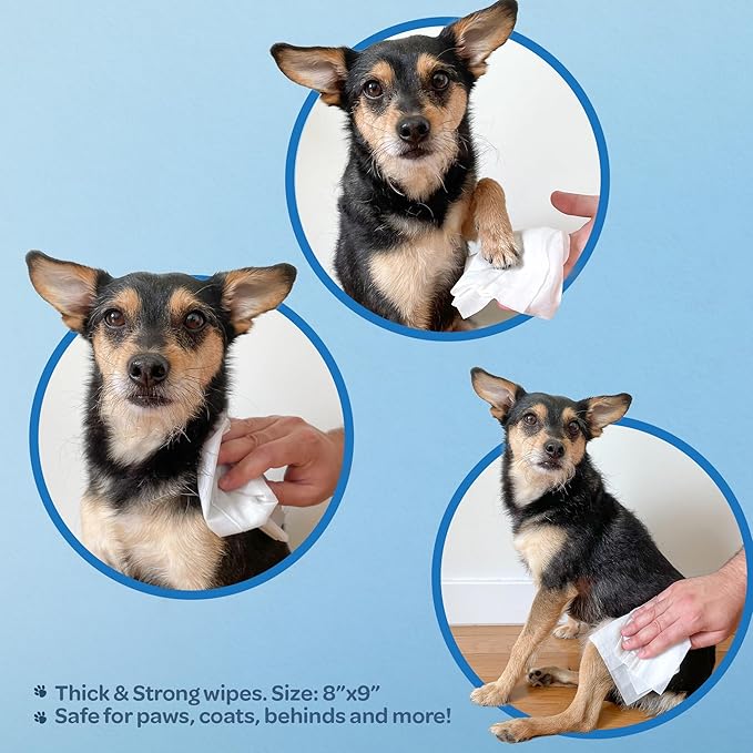 Best Pet Supplies Pet Wipes for Dogs - Dog Wipes Cleaning Deodorizing, for Coats, Ears, Paws - Hydrating, Aloe Vera, 400 Count.