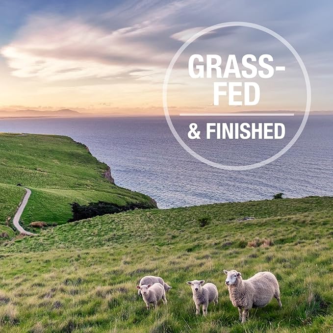 K9 Natural, Freeze-Dried Single Ingredient Dog Treats, High-Value, Low-Calorie Protein Bites for Active Dogs, Healthy Dog Training Treats, Grain-Free Reward, Beef & Organs, 1.76oz