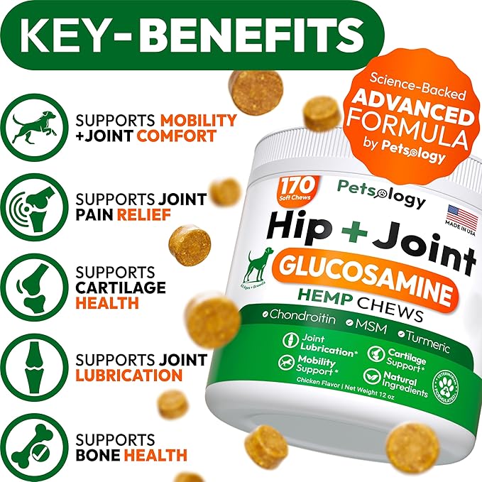 Hemp Hip and Joint Supplement for Dogs - Glucosamine for Dogs - 170 Mobility Support Chews - Advanced Joint Pain Relief Treats with Chondroitin, MSM, Turmeric - Large & Small Breeds - Made in USA