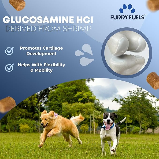 Hip and Joint Supplement for Dogs 120 Dog Chews - Advanced Glucosamine for Dogs - Chicken Flavor Hip and Joint Chews for Dogs - Dog Pain Relief Supplement - Perfect for Small to Medium and Large Breed