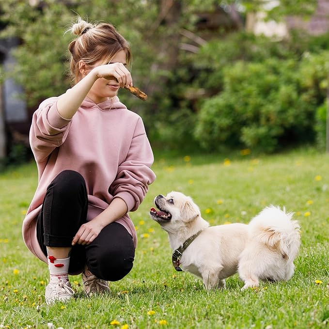 Wildfang® Olive Wood Chewing Sticks for Dogs, Large - Tough Chew Toys for Aggressive Chewers, Puppy Chew Toys for Teething, Training for Chewing Muscles, Olive Wood Stick for Dog (Under 33lbs), 3pack