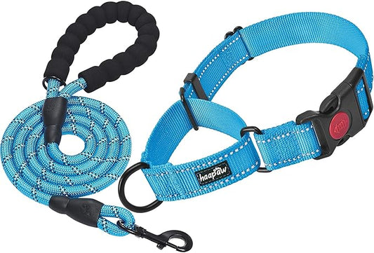 haapaw 2 Packs Martingale Dog Collar with Quick Release Buckle Reflective Dog Training Collars for Small Medium Large Dogs