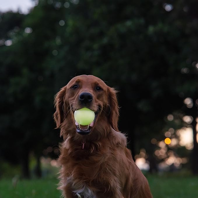 Harry Barker Glow Balls and Chew Stick, Rubber Bone for Dogs - 3" Glow Balls