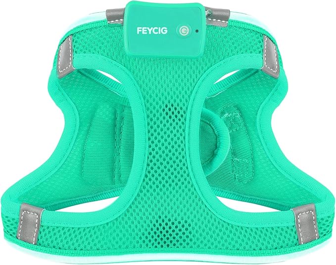 Light Up Dog Harness,Rechargeable LED Dog Harness for Small Medium Large Dogs,Reflective Lighted Safety Vest for Night Walking & Camping,Lightweight & Adjustable,Light Green,L