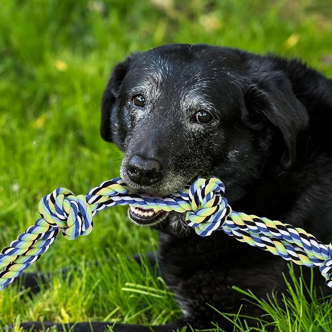 12pc Heavy Duty Dog Rope Toys Tough Tug of War Dog Toys, 100% Cotton Tug Toy for Boredom for Large/Medium/Small Dogs for Chewing, Playing, Teething, Teeth Cleaning, Tossing and Catching.