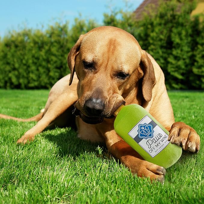 Prime Pets Dog Toys for Large Dogs, 3 Pack, Plush Squeaky Dog Toy, Pet Toy for Small Medium Large Dogs, Stuffed Puppy Chew Toys