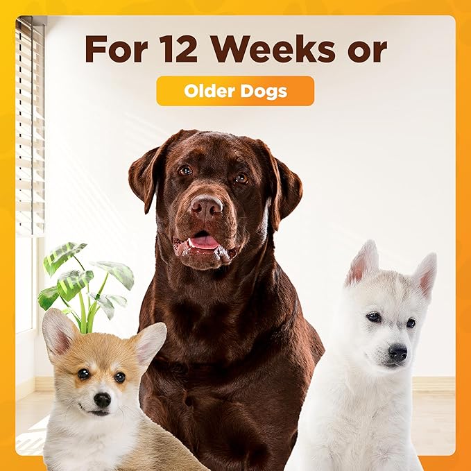 Honey & Oatmeal 16.9 oz Pet Shampoo for Dogs, Soothing Natural Formula with Colloidal Oatmeal, Aloe & Honey - Relieves Itchy Dry Skin, No Sulfates or Parabens, Gentle, Chamomile Scented