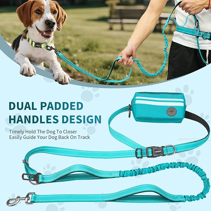 Hands Free Dog Leash with Removable Zipper Pouch, Dual Padded Handles and Durable Bungee for Walking, Jogging and Running Green