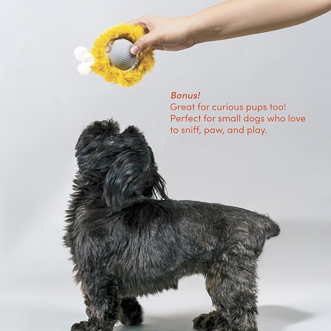 Pounce Mat Interactive Cat Toy – Indoor Hunting Game by Paw Paw | Hide & Seek Moving Ball, Motion-Activated Rolling Ball with Bunny Ears & Mouse Tail, 2-in-1 Play Mat