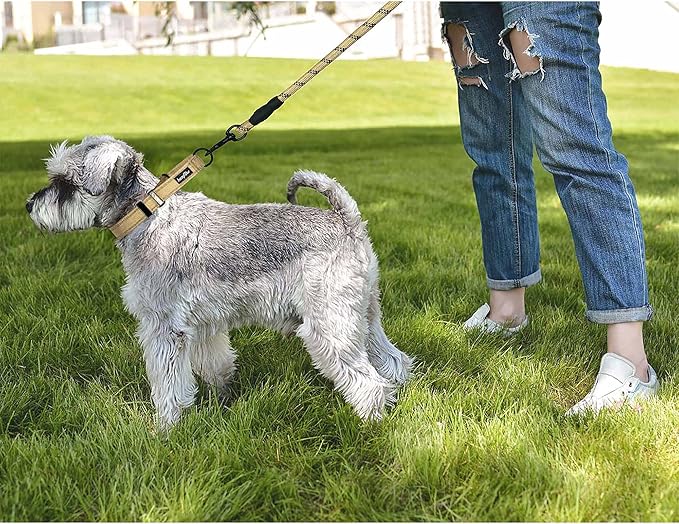 haapaw 2 Packs Martingale Dog Collar with Quick Release Buckle Reflective Dog Training Collars for Small Medium Large Dogs